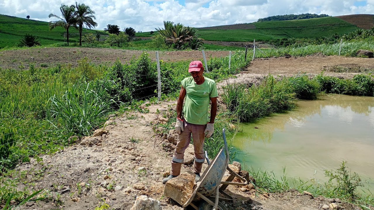 TIRANDO AS PEDRAS PARA TRABALHAR MELHOR NA TERRA
