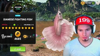 New Siamese Fighting Fish Fishing Clash Gameplay Ep56 screenshot 5