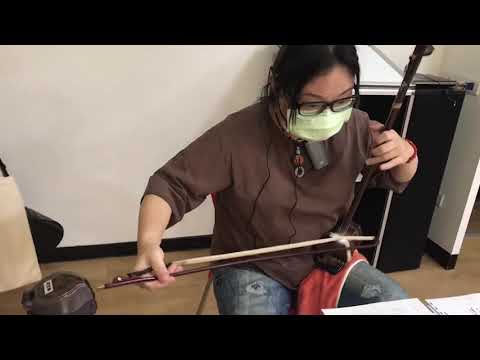 綠島小夜曲/林正欣/二胡