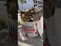 Bolsa de escombros – street art video Barcelona, streetart video, trash art