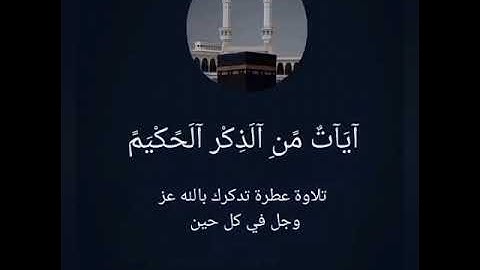 آيَآتٌ مًنِ آلَذِکْر آلَحًکْيَمً #القرآن_الكريم #اكسبلور #المصحف #تلاوة_مميزة #تيك_توك حًضرمًوٌتٌ 