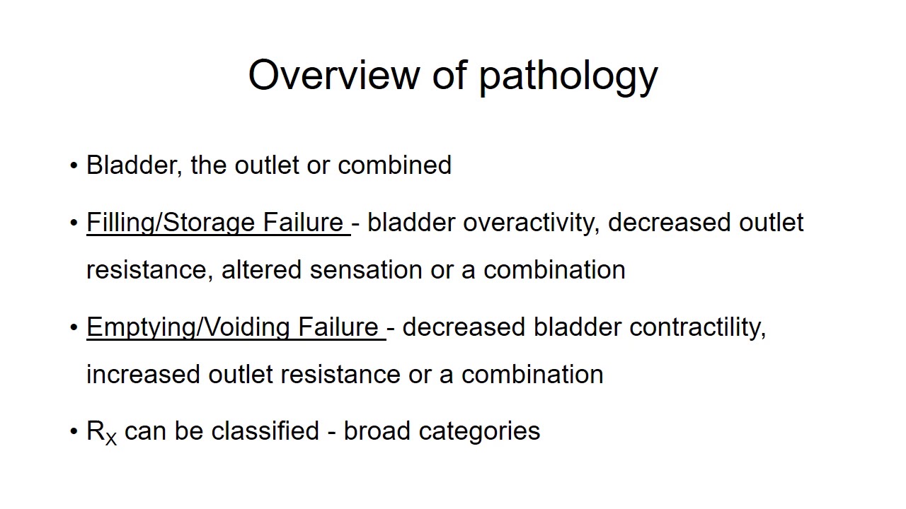 Rehabilitation of Neurogenic Bladder Part III YouTube
