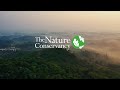 The nature conservancy film