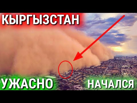 Video: Эмчек насосун кантип тандаса болот