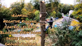 Rigging Branches, Ropping Top, Negative Rigging, Blocking Down Sections of trunk  full removal