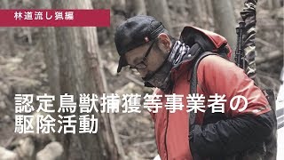 認定鳥獣捕獲等事業者のとある1日 Youtube