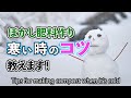 ぼかし肥料の作り方 寒い時のコツ