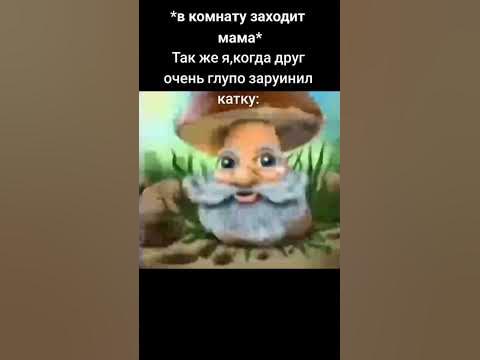 мудрый гриб #shorts #memes #tiktok - YouTube