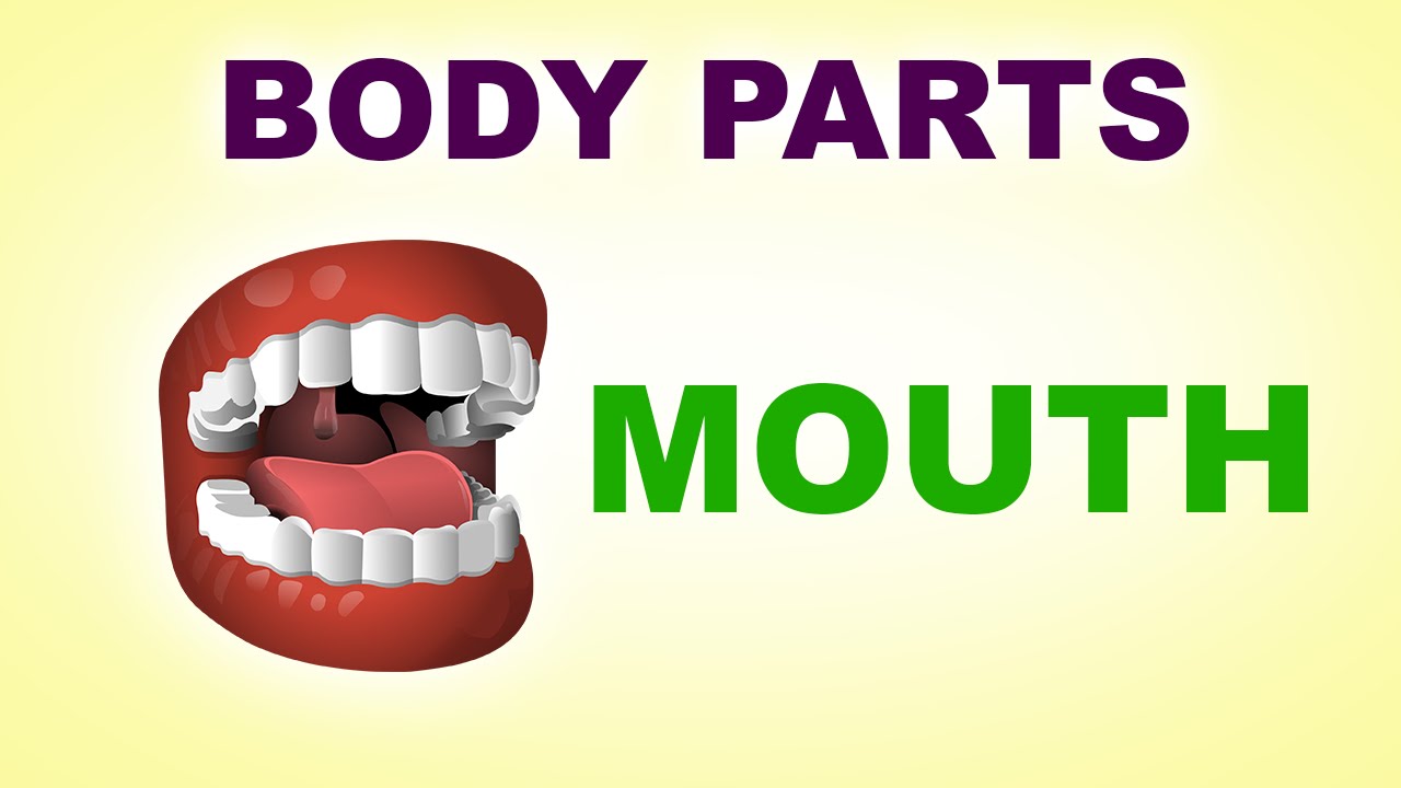 Слово рот на английском. Body Parts mouth. Mouth for Kids. Mouth Flashcards for Kids. Mouth body Parts for Kids.