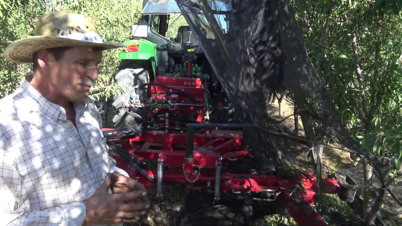 Recolección Penta Superintensivo 2019 Toro