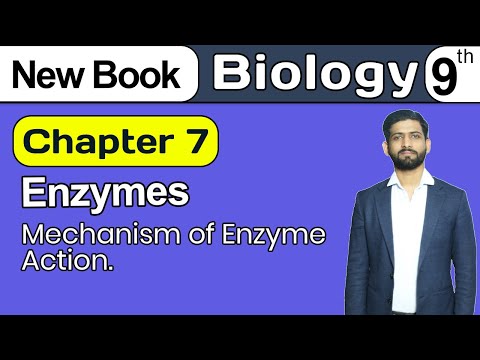 Mechanism of Enzyme Action
