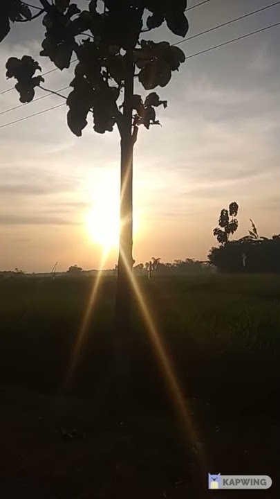 [Ringtone] Sholawat