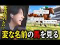 変な名前の馬名に爆笑する配信者【Twitch 雑談 切り抜き】