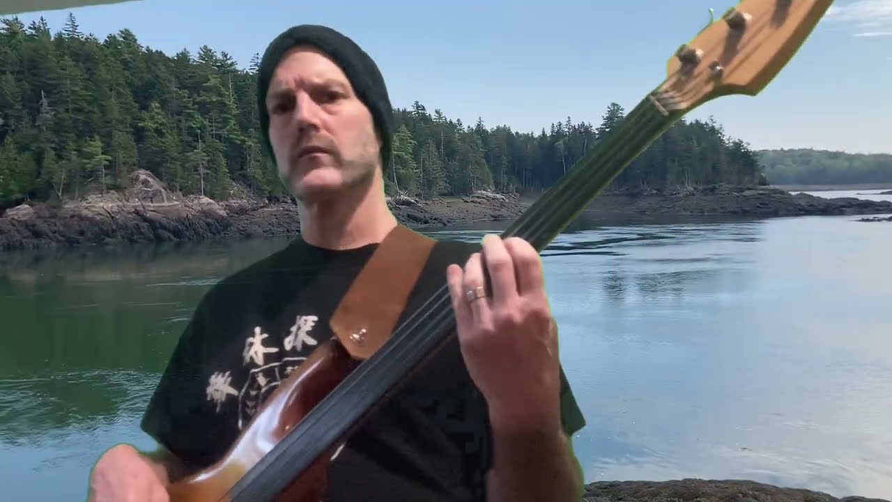 I Can’t Tell You Why  Bass Cover