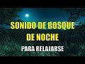 1 HORA SONIDOS del BOSQUE NOCTURNO CORTOS para (DORMIR o RELAJARSE) 😴🦉🌕