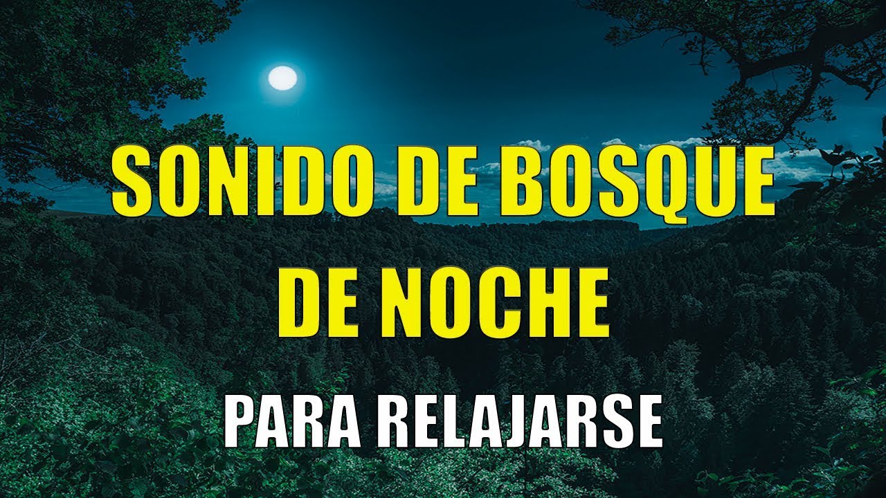 1 HORA SONIDOS del BOSQUE NOCTURNO CORTOS para (DORMIR o RELAJARSE) 😴🦉🌕