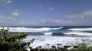 VID 20110310 120805