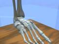 Ankle & Subtalar Joint Motion Function Explained Biomechanic of the Foot - Pronation & Supination