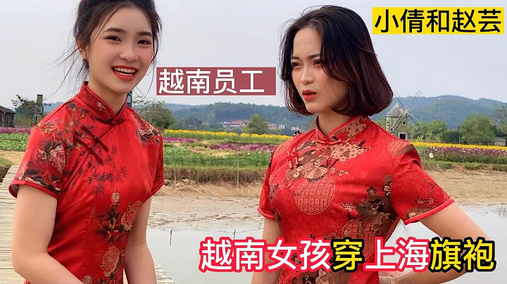 越南美女员工身材太好了，穿着上海奥黛感觉就像中国女孩一样 - 天天要闻