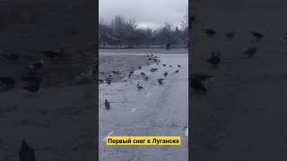 Первый снег в Луганске 26 ноября 2021. Погода в Луганске. #shorts