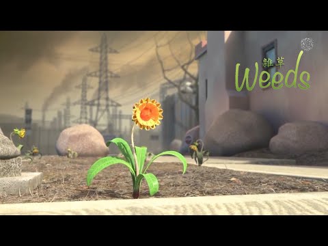 《雜草的夢想》-迪市尼勵志動畫小短片 pic