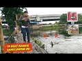 Habis di hajar lapak sebelah pake umpan ini  kp bakso kikil gresik 117