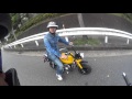 HONDAゴリラとクロスカブ２byRJ