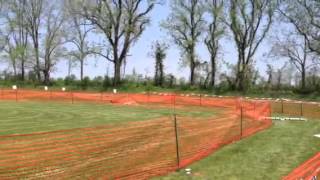 Dachshund On A Lure Course