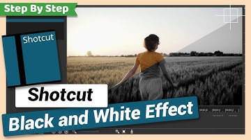 Black and White Effect or Filter | Shotcut Tutorial
