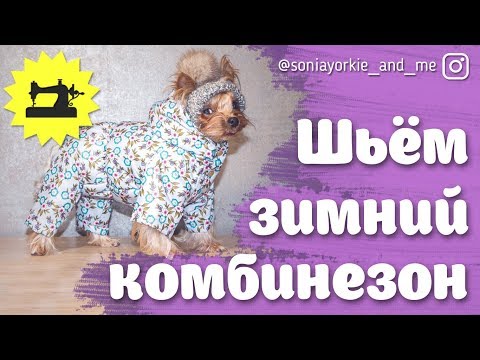 Как сшить комбинезон с капюшоном для собаки