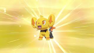 Shiny Shinx After Only 96 Eggsevolutions Included