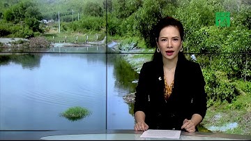 Dân “ngộp thở” vì nước thải từ trại chăn nuôi | VTC14