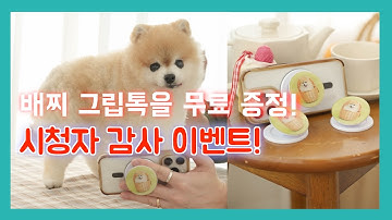 5천명 구독자 감사 이벤트🎉 배찌 그립톡 증정 & 초당앰플 세트 혜택까지! #반려견 #이벤트 #강포동하우스 #cutedog #강아지 