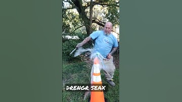 WICKED DRENGR 🖤#shorts #knifereview #seax #viking #vikings #worktuffgear