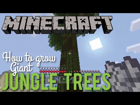 Video: Hoe kom je aan jungle-boompjes?