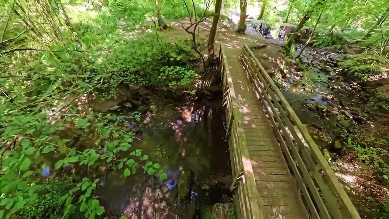 Wepre Park 🥰 No drones allowed? 360 camera it is then 😁