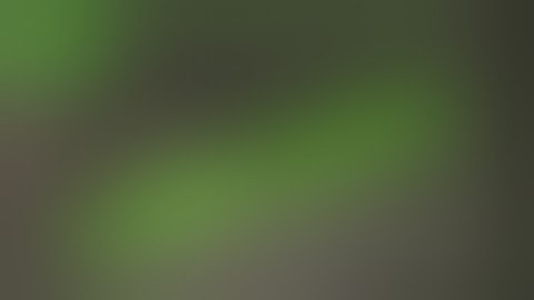 RUST | HOW IS THIS POSSIBLE | BEST JACKPOT RAID EVER