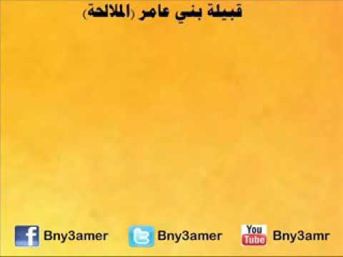 نسب قبيلة بني عامر الملالحة