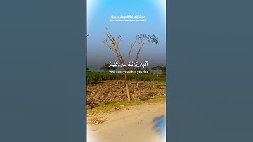 سورة الشعراء للقارئ فارس عباد #اكسبلور #دويتو #الرحمن #المصحف #العظماء