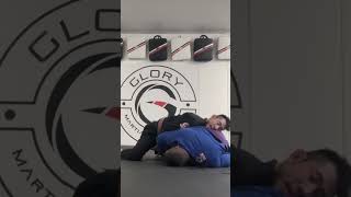 Stand Up - Takedown - Pass - Backtake - Mount - Choke