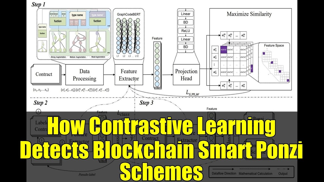 How Contrastive Learning Detects Blockchain Smart Ponzi Schemes | CASPER Explained