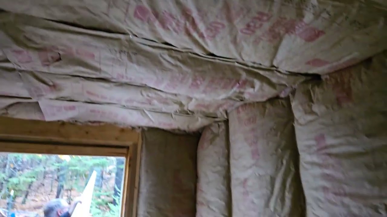 Cat camp kitty Airbnb electric, windows and insulation done 