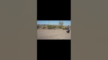 Leslie McDevitt 1 2 3 Pattern Game #shorts, #servicedogtraining, #heeling