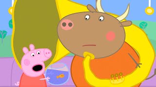 Goldie The Fish's Big Day Out  | Peppa Pig Official Full Episodes