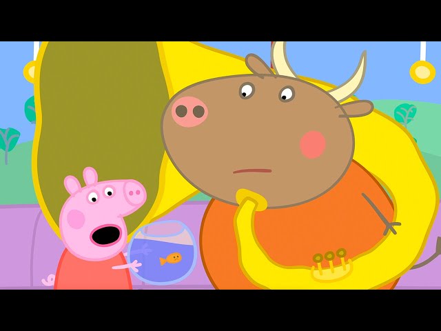 Goldie The Fish's Big Day Out 🚎 | Peppa Pig Official Full Episodes class=