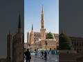 Vo Shehre Mohabbat🥹 | Beautiful Heart Touching Naat 🌸 #naat #madina #trending #islamic