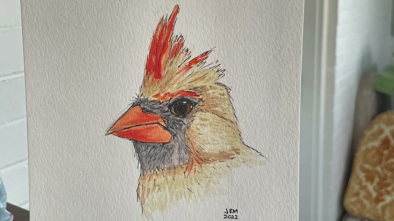 CONS 110: Natural History Illustration