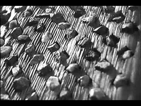 ჯიმ შვანთე (მარილი სვანეთს) 2