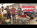 Güvercin Pazarı Yeni Kümese Güvercin Aradım