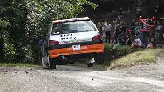 Rallye Du Pays Viganais 2023 - Best Of